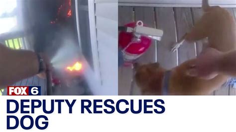 Fond du Lac County deputy rescues dog while battling apartment fire