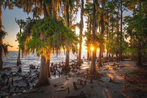 Fontainebleau state park photos. This sunset view over the lake makes a stay at Fontainebleau State Park even more memorable. (Photo by PJ Hahn) Fontainebleau State Park. Mandeville is one of the Northshore areas booming cities ... 