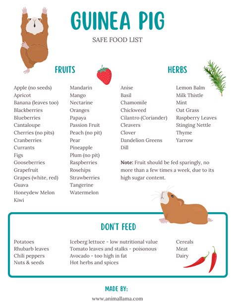 Food Chart For Guinea Pigs