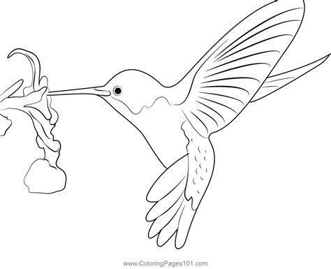 Cancer Coloring Pages