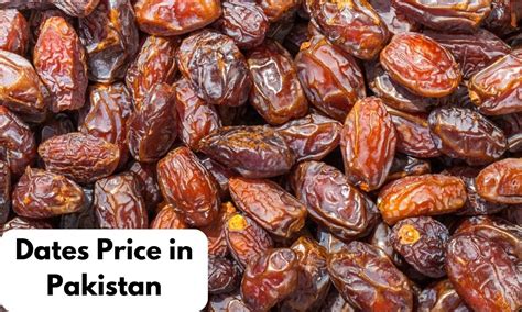 Food Factory Price in Pakistan - Latest Apr, 2024 Prices