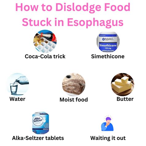 Food Is Stuck in the Esophagus & Not Digesting Healthfully