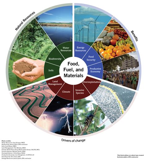 Food Resources FEAP