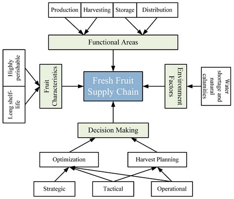 Food Supply Chain: Transporting Fresh Fruits & Vegetables