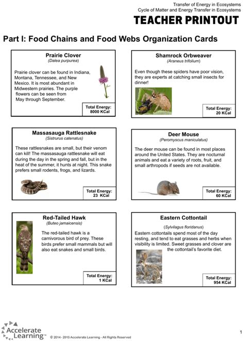 Food Web/Pyramids Card Sort
