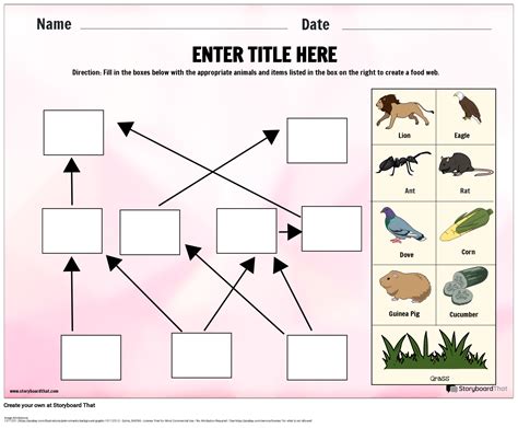 Food Web Process Ecosystem Template Storyboard