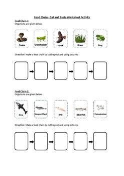 Food chain cut and paste activity pdf.  Non-Metamorphic Life Cycles Worksheet - Cut and P...