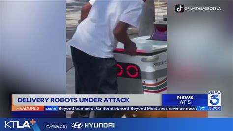 Food delivery robots under attack from vandals, thieves; local businesses starting to be affected 