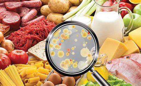 Food microbiology. Things To Know About Food microbiology. 