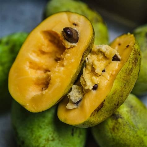 Health Benefits of Pawpaw Fruit. Possible use