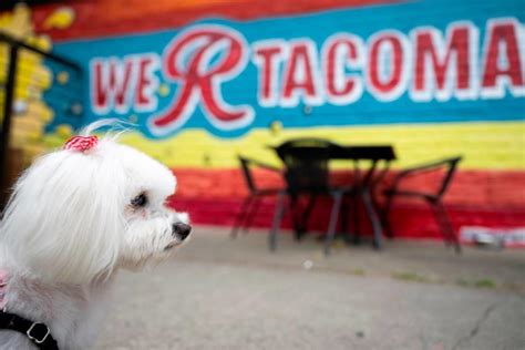 Food places tacoma. Top 10 Best Tacos in Tacoma, WA - March 2024 - Yelp - Taqueria La Michoacana, Taqueria El Sabor, Taco Street, Paco's Tacos, Birrieria Tijuana Lakewood, Balcon Express, Indita Mia, Red Star Taco Bar, Mi Casa Mexican Food, Taqueria El 5 De Mayo 
