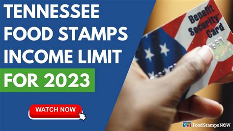 Food stamps in tennessee eligibility. 1.2 First Food Stamp Program (FSP; May 16, 1939 – Spring 1943) 1.3 Pilot Food Stamp Program (1961–1964) ... New Mexico, Oregon and Tennessee. Washington, D.C., was the highest share of the population … 
