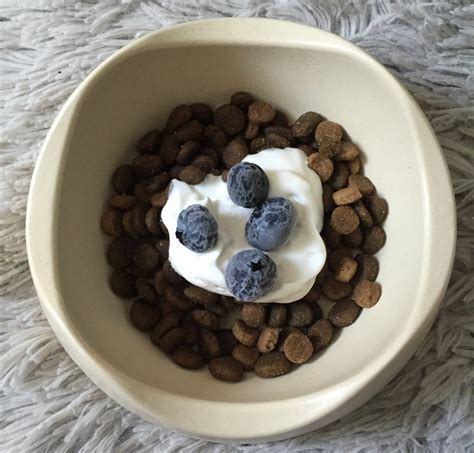 Food toppers for dogs. The amount of food to give a puppy depends on the puppy’s breed and size, according to Dog Breed Info. The recommended amount varies from 1/4 cup to 4 cups of food per day, based o... 