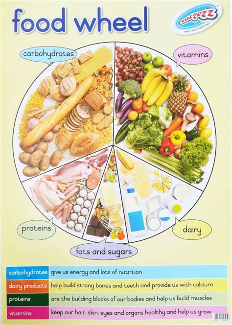 Food wheel. Things To Know About Food wheel. 