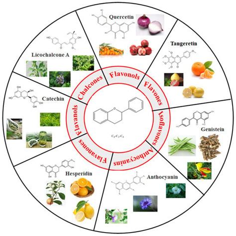 Foods Free Full-Text Polyphenols as Plant-Based Nutraceuticals ...