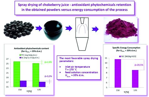 Foods Free Full-Text Spray Drying of Chokeberry Juice&mdash ...