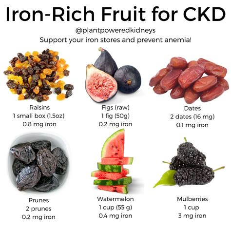 Foods High in Iron - Food Struct