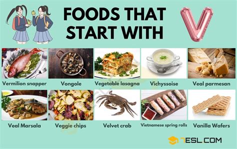 Foods that start with v. Things To Know About Foods that start with v. 