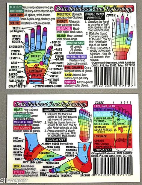Foot Hand Reflexology Acupressure Code Laminated Wallet Card Chart