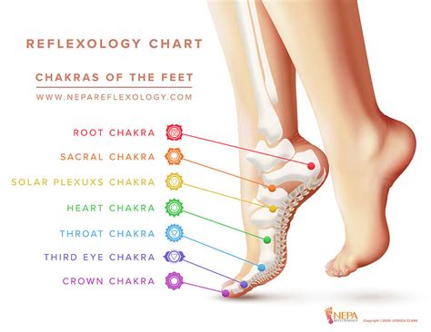 Apr 30, 2021 · Foot Pain and the Root Chakra. According to