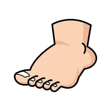 Foot clipart. Things To Know About Foot clipart. 