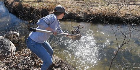 For 4th year trout put into Wolf Creek - Yahoo Sports