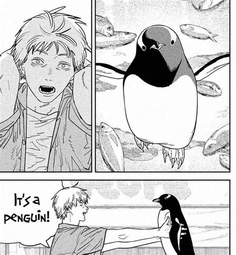 For anyone curious, the type of penguin Denji held up was a …