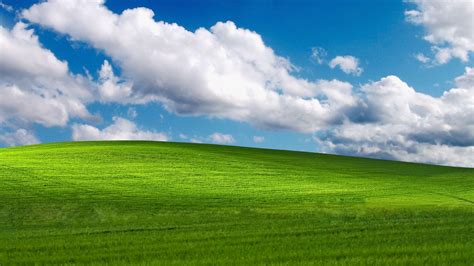 For free MS windows XP new