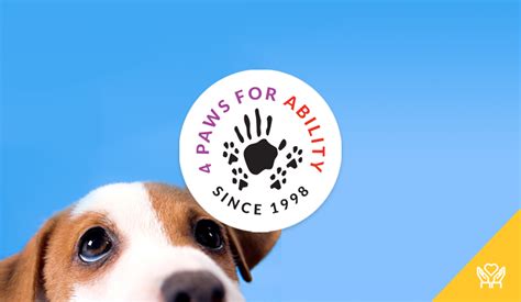 For paws for ability. Things To Know About For paws for ability. 
