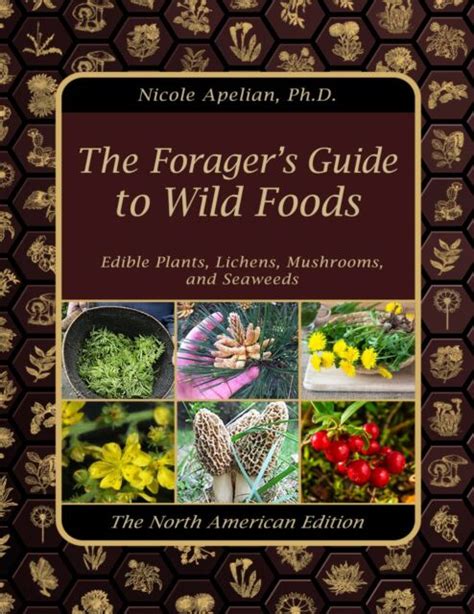 Foragers guide to wild food. Things To Know About Foragers guide to wild food. 