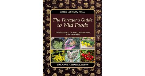 Foragers guide to wild foods. Things To Know About Foragers guide to wild foods. 