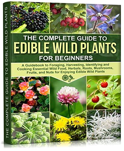 Foraging a complete guide on foraging wild edible plants and medicinal herbs foraging wild edible plants homesteader. - Bianca vampirutschi, oder, die wahrheit über vampire.