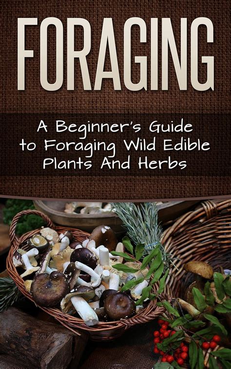 Read Foraging A Beginners Guide To Foraging Wide Edible Plants And Herbs Foraging Survival Homesteader Book 1 By Carmel Maher
