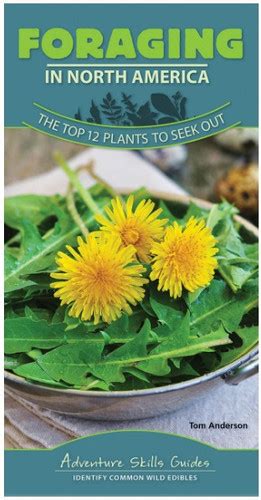 Full Download Foraging In North America The Top 12 Plants To Seek Out By Tom           Anderson