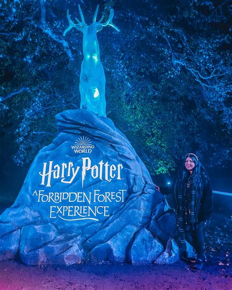 Forbidden forest experience. The experience lasts up to an hour and a half as you wind your way through the woods on an illuminated light trail in the park. Tickets for "Harry Potter: A Forbidden Forest Experience" range from ... 