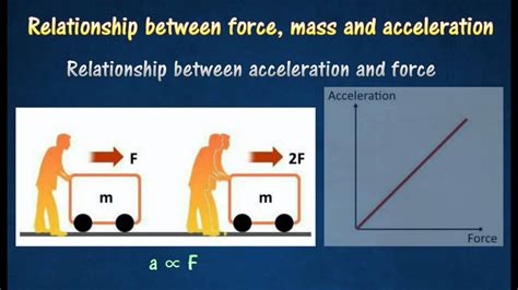 Force Mass Acceleration Calculator calculatordonkey