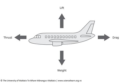 Forces affecting flight — Science Learning Hub