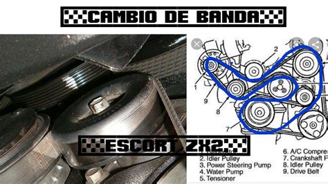 Ford escort zx2 repair manual bandas de tiempos. - Manual for design and operation of an oyster seed hatchery for the american oyster crassostrea virginica.