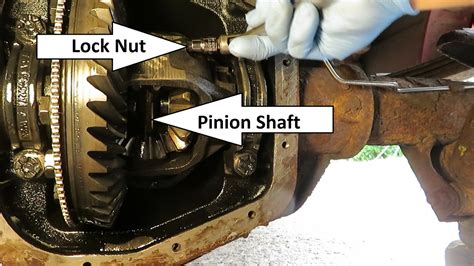 Ford f150 rear axle removal instruction guide. - The conservation professionals guide to working with people.