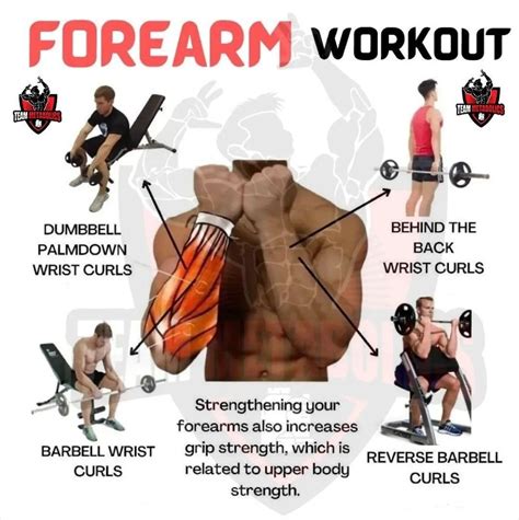 Forearm workout chart.  Get the most effective forearm workouts to build ...