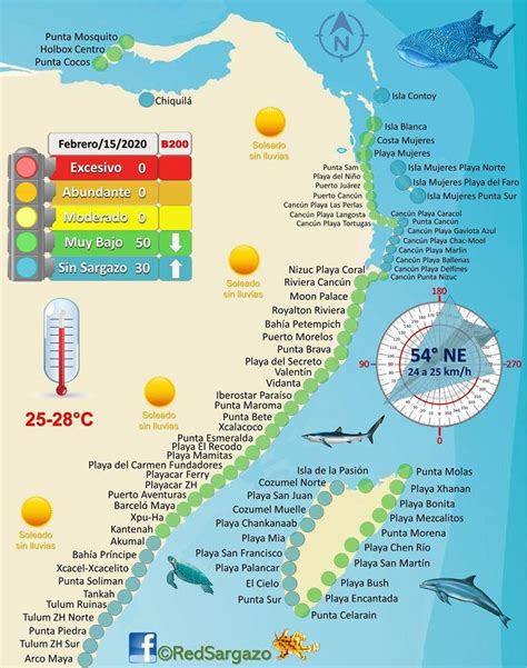 Forecast riviera maya mexico. During August, Riviera Maya experiences an average high-temperature of 31.1°C (88°F) and a low-temperature of 27°C (80.6°F). In August, the average heat index (a.k.a. 'real feel', 'apparent temperature'), which takes the relative humidity and factors it into the air temperature reading, is computed to be 40°C (104°F). 