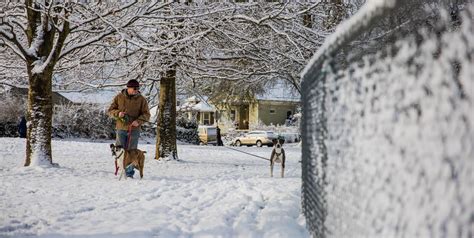 Forecasters expect some more snow in Portland area - OPB