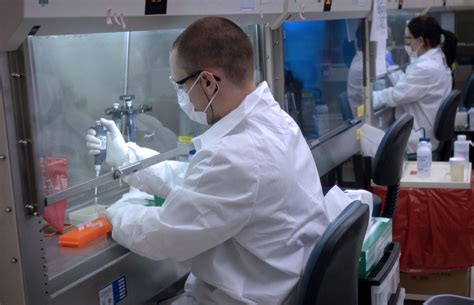 Forensic Dna Analysis Inside Forensic Science