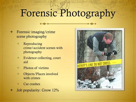 Forensic Photography Jobs, Employment Indeed.com