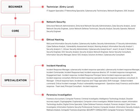 Forensic Science Career Path