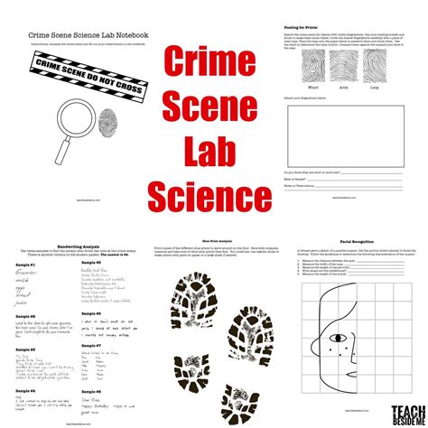 Forensic science activities for elementary students.  Security and Investigations Ca...