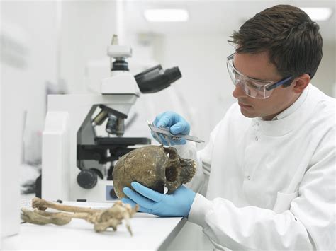 Pursuing a career in forensic science may provide you with a range of opportunities. In this article, we list potential forensic careers to consider, provide ….
