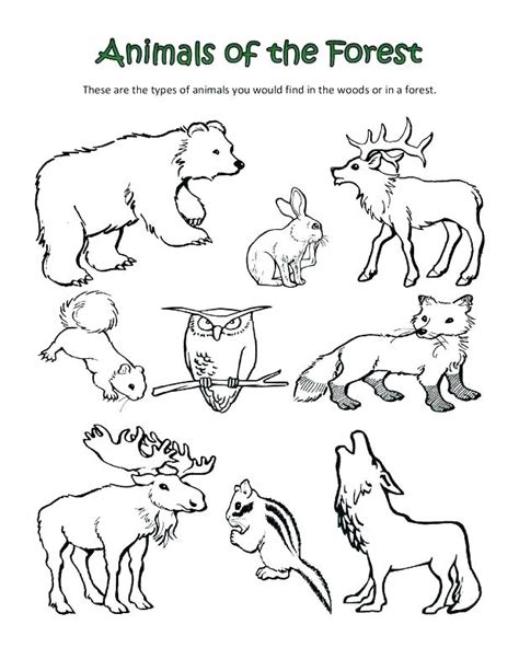 Reading Books Coloring Pages