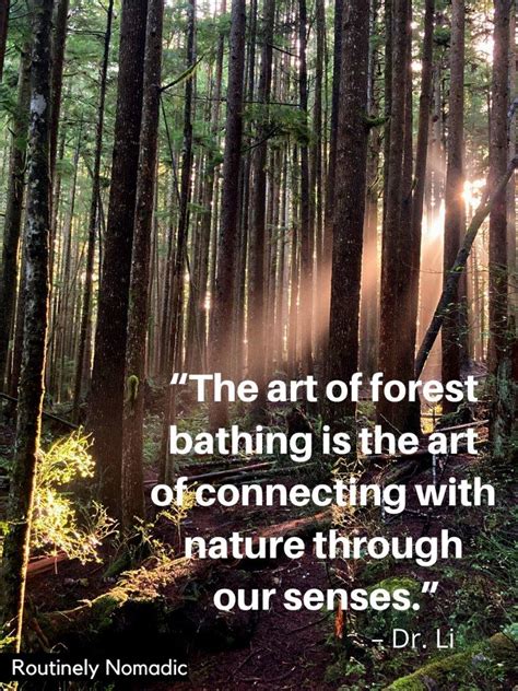 Forest Bathing Quotes (9 quotes) - Goodreads