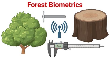 Forest Biometrics Definition